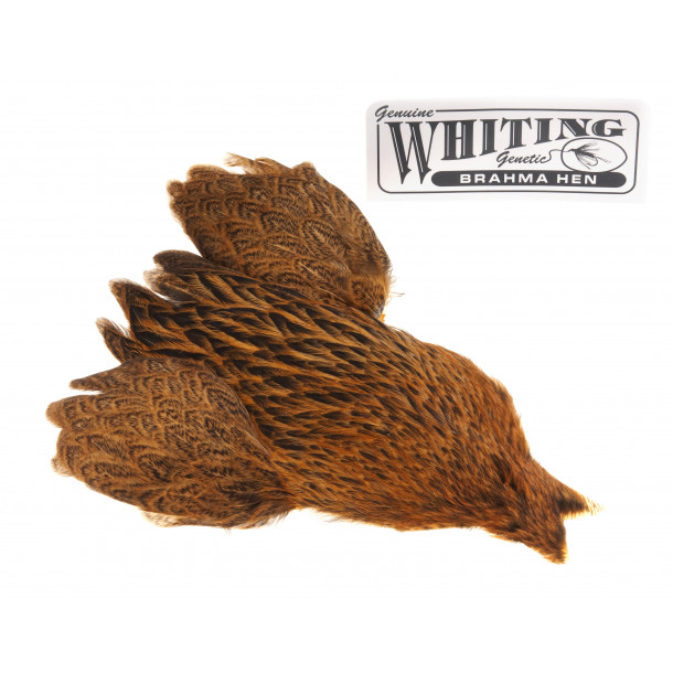 Whiting Brahma - March Brown