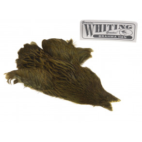 Whiting Brahma - Olive