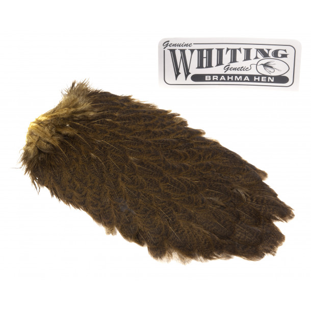 Whiting Brahma Saddel - Golden Olive