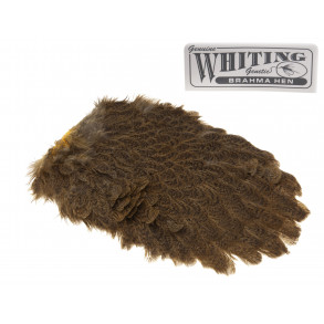 Whiting Brahma Saddel - Golden Straw