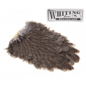 Whiting Brahma Saddel - Mottled Grey