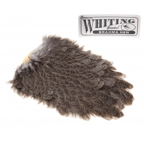 Whiting Brahma Saddel - Mottled Grey