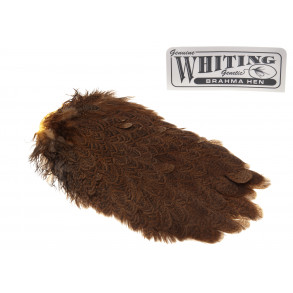 Whiting Brahma Saddle - Golden Brown