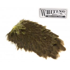 Whiting Brahma Saddle - Olive