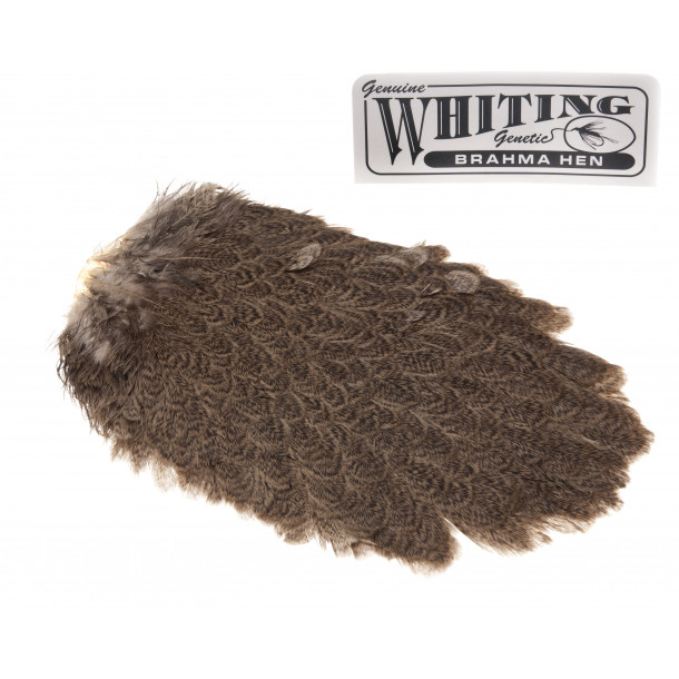 Whiting Brahma Saddle - Tan