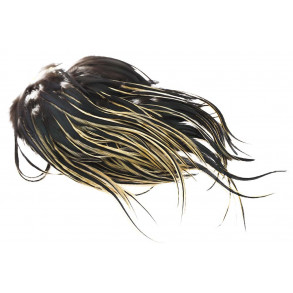 Whiting Bugger Pack - Golden Badger