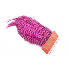 Whiting Bugger Pack - Grizzly Pink