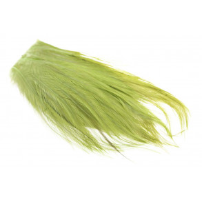 Whiting Bugger Pack - Olive