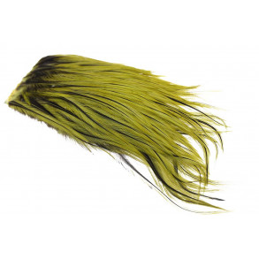 Whiting Bugger Pack - Olive Badger