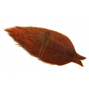 Whiting Coq de leon Cape - Badger Brown