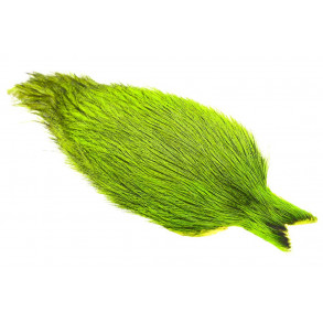 Whiting Coq de leon Cape - Badger Fl. Chartreuse