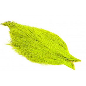 Whiting Coq de leon Cape - Badger Fluo Yellow Chartreuse