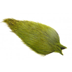 Whiting Coq de leon Cape - Badger Olive