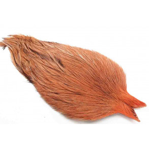 Whiting Coq de leon Cape - Badger Salmon pink