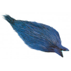 Whiting Coq de leon Cape - Bagder Silver Doc. Blue