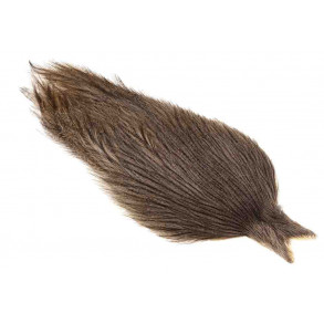 Whiting Coq de leon Cape - Dark Pardo