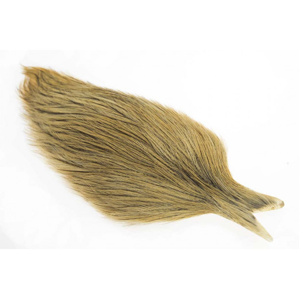 Whiting Coq de leon Cape - Golden Badger