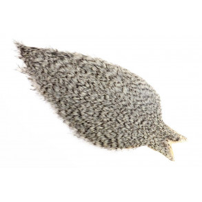 Whiting Coq de leon Cape - Grizzly