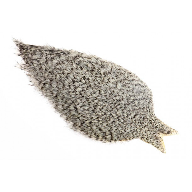 Whiting Coq de leon Cape - Grizzly