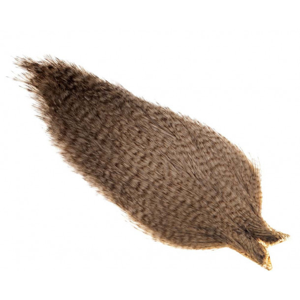Whiting Coq de leon Cape - Grizzly Pardo