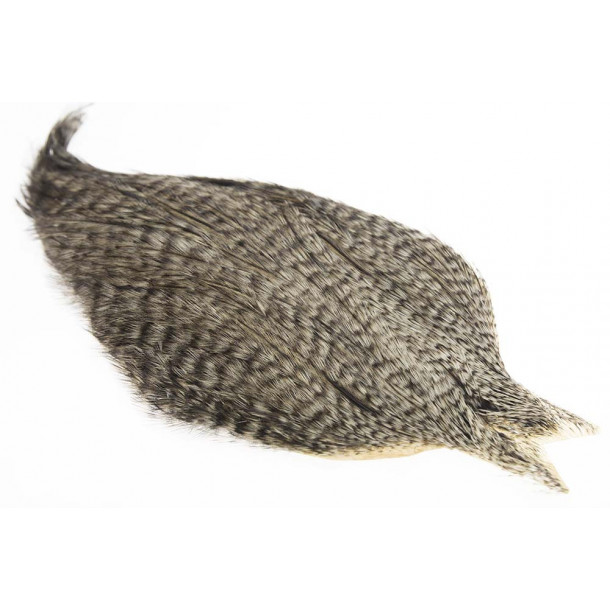 Whiting Coq de leon Cape - Grizzly varr.