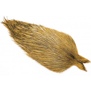 Whiting Coq de leon cape - Medium Ginger