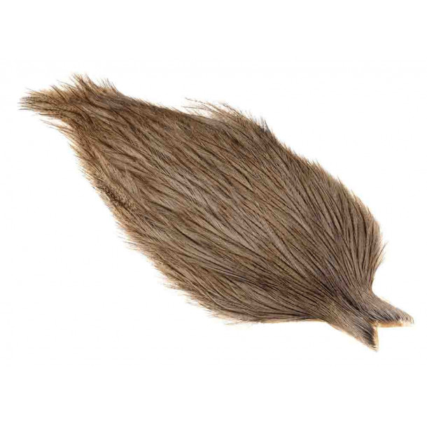 Whiting Coq de leon Cape - Medium Pardo