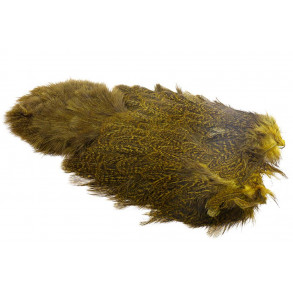Whiting Coq de Leon Hen Soft hackle with Chicabou - Speckled Copper Olive