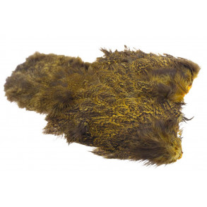 Whiting Coq de leon Hen Soft hackle with Chicabou - Speckled Golden Olive