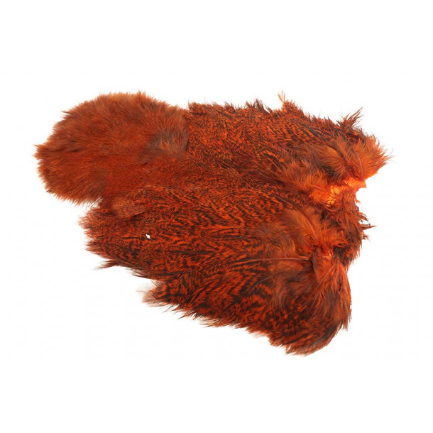 Whiting Coq de leon Hen Soft hackle with Chicabou - Speckled Orange