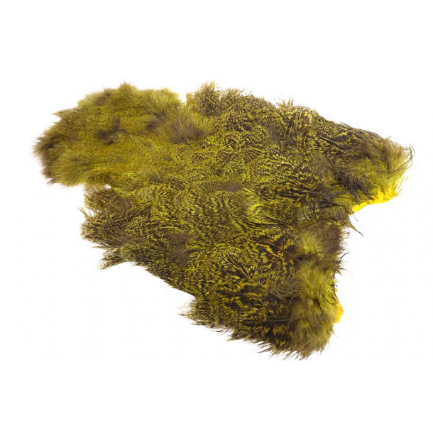 Whiting Coq de leon hen Soft hackle with Chicabou - Speckled Yellow