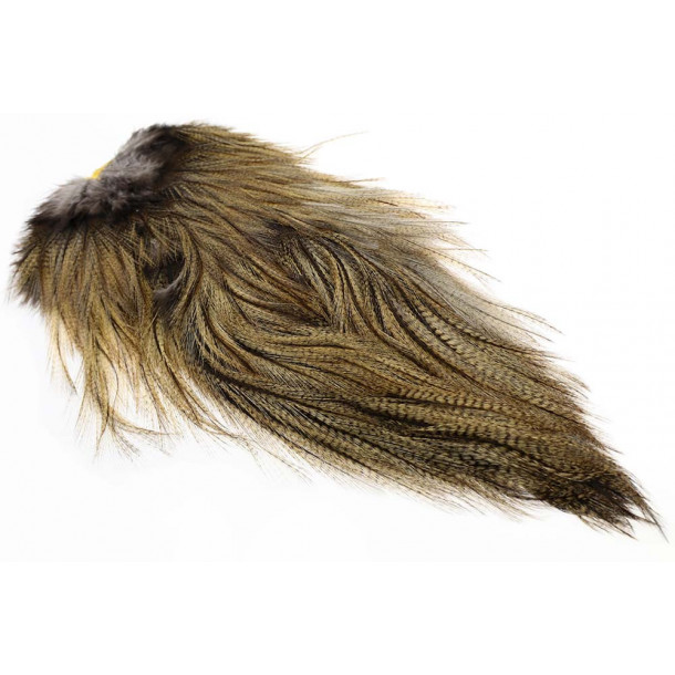 Whiting Coq de leon Saddel - Light Pardo