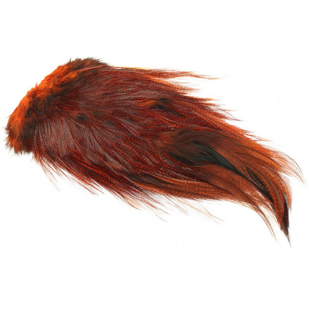 Whiting Coq de leon Saddel - Orange