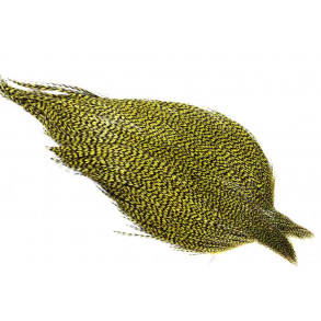 Whiting dryfly High n Dry grade. Grizzly olive