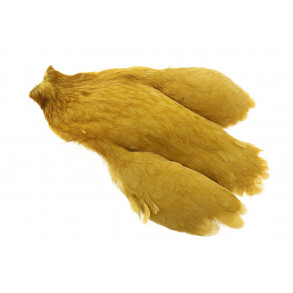 Whiting Hen Cape - Golden Olive