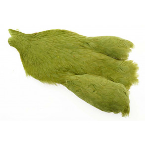 Whiting Hen Cape - Olive