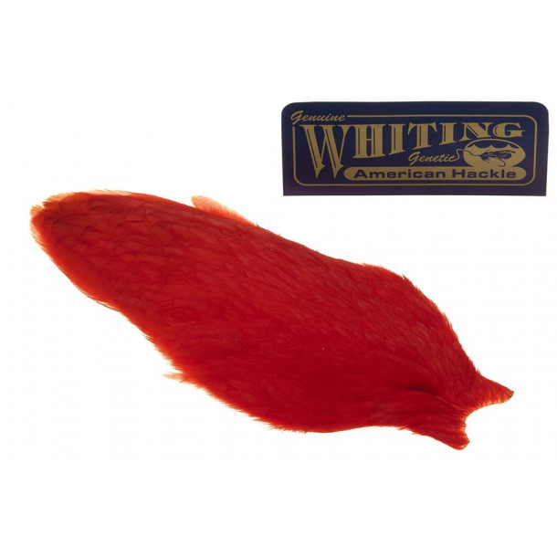 Whiting Hen Cape - Red