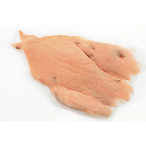 Whiting Hen Cape - Salmon Pink
