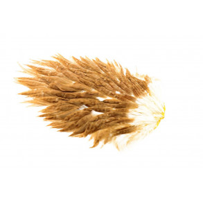 Whiting Hen saddel Wet fly - Ginger