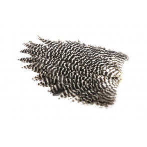 Whiting Hen saddel Wet fly - Grizzly