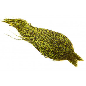 Whiting High n dry - Grizzly Dyed Golden Olive
