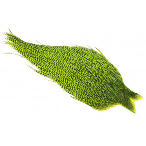 Whiting High n dry - Grizzly Fl. Chartreuse