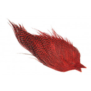 Whiting High n dry - Grizzly Red