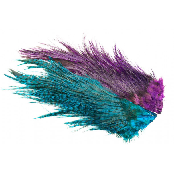 Whiting Rooster Coq de leon Predator pack - Blue/Purple