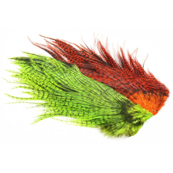 Whiting Rooster Coq de leon Predator pack - Chartreuse/Orange