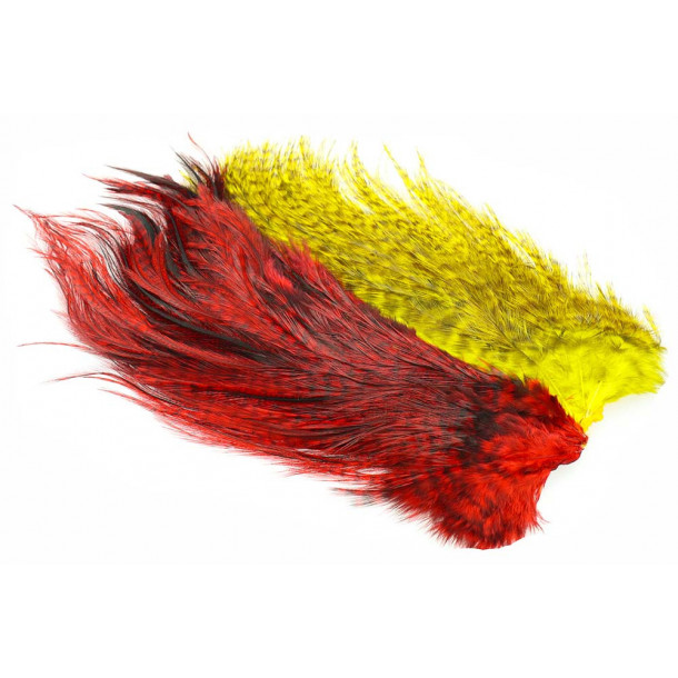 Whiting Rooster Coq de leon Predator pack - Red/Yellow
