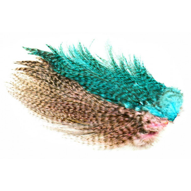 Whiting Rooster Coq de leon Predator pack - Shell pink/Kingfisher