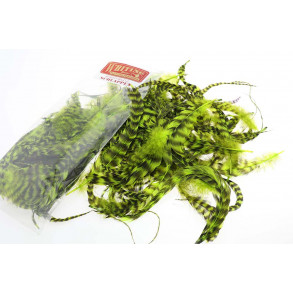 Whiting Schlappen - Grizzly Chartreuse