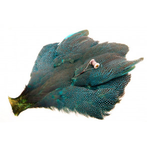 Whiting Whole Guinea fowl - Kingfisher