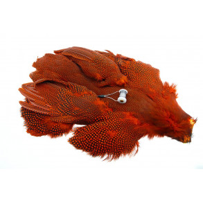 Whiting Whole guinea fowl - Orange